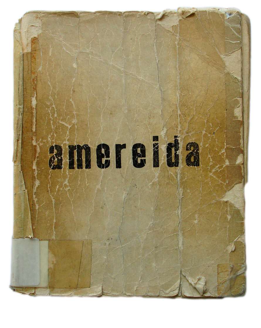 Amereida web.png