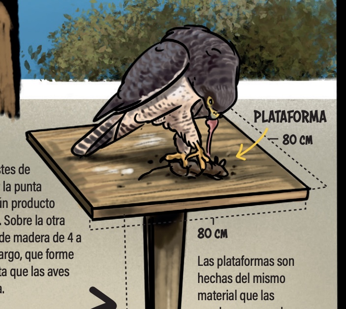 Plan de Enriquecimiento Ambiental enfocado en Fauna Silvestre