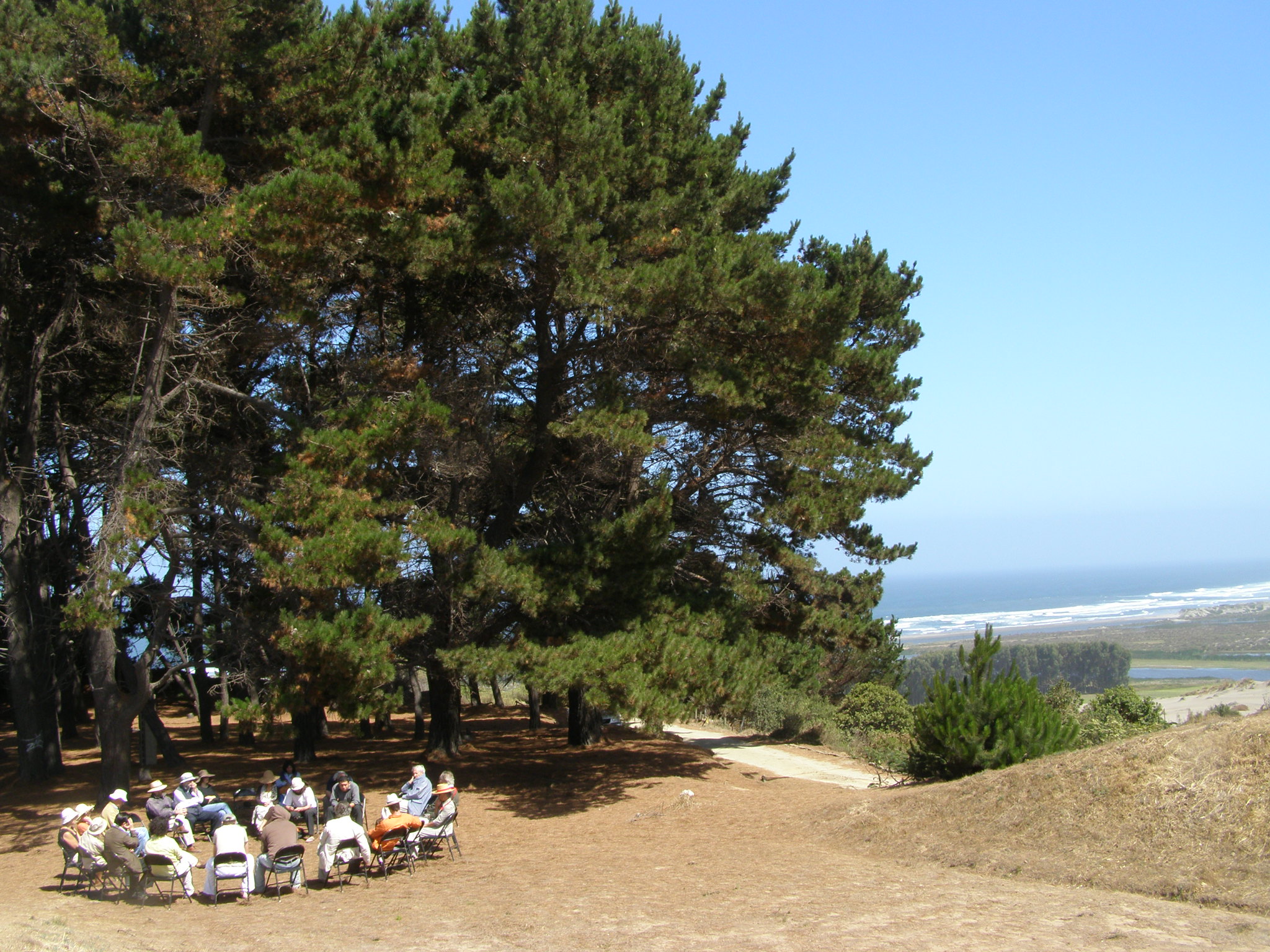 Agora deverano 2008.jpg