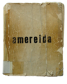 Amereida web.png