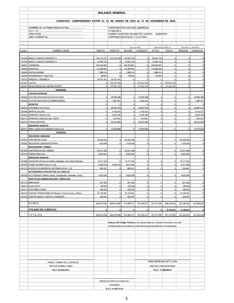 Archivo:BALANCE GENERAL AÑO 2024-BALANCE AÑO 2024.png